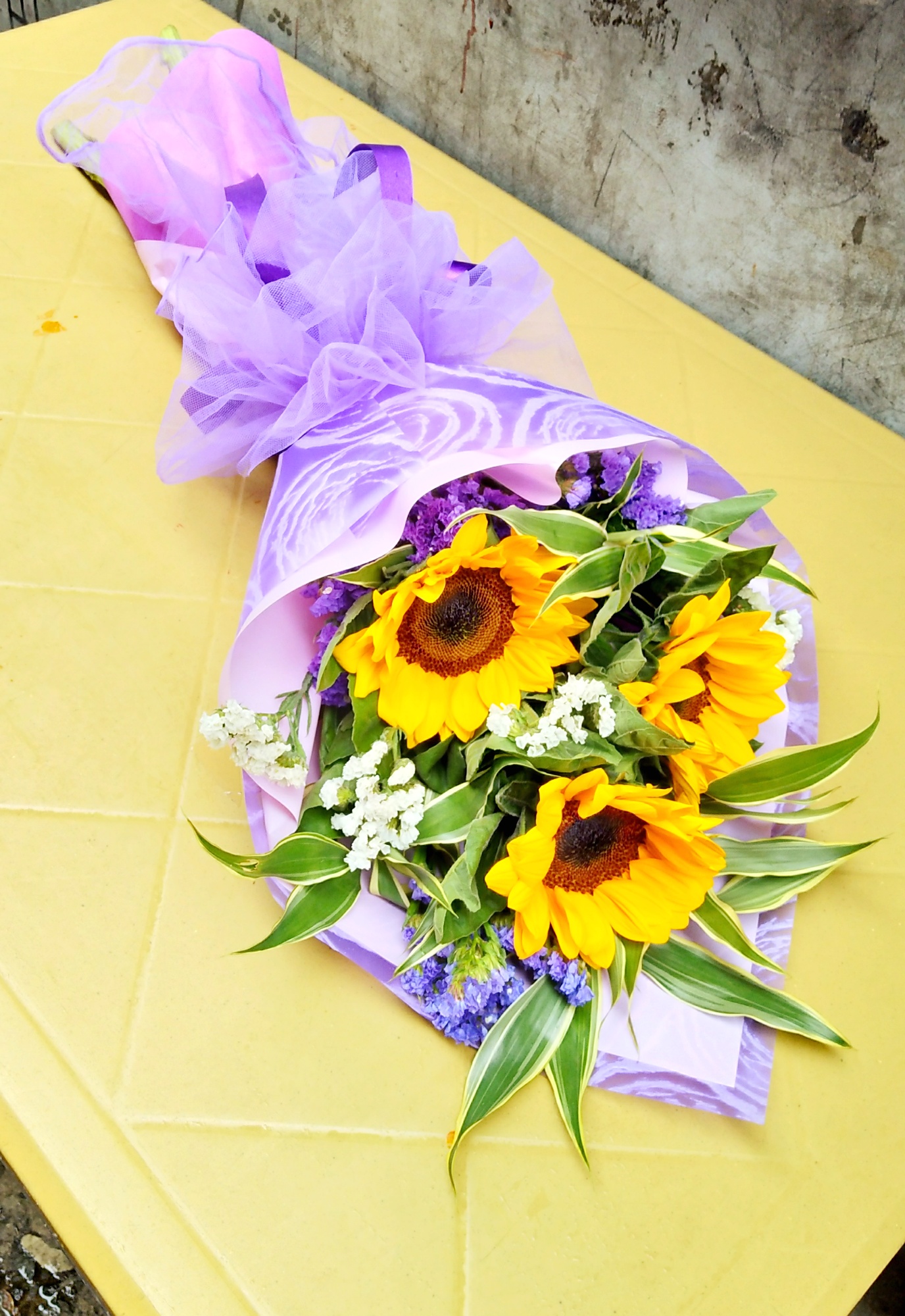 Sunflower, lively flowers